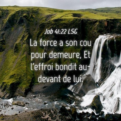 Picture 04 - Job 41:22 LSG - La force a son cou pour demeure, Et l'effroi - Bible Verse Picture