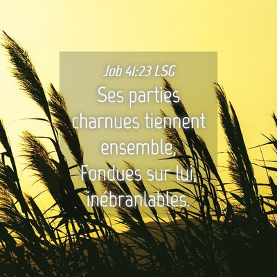Picture 04 - Job 41:23 LSG - Ses parties charnues tiennent ensemble, Fondues - Bible Verse Picture