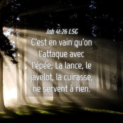 Picture 04 - Job 41:26 LSG - C'est en vain qu'on l'attaque avec l'épée; La - Bible Verse Picture