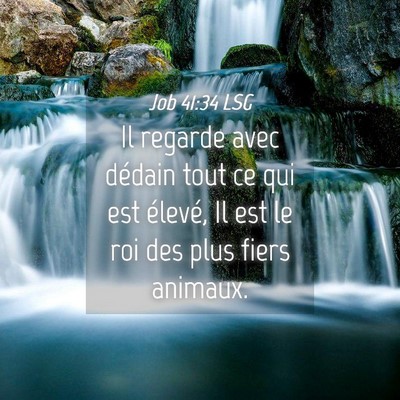 Picture 04 - Job 41:34 LSG - Il regarde avec dédain tout ce qui est élevé, - Bible Verse Picture
