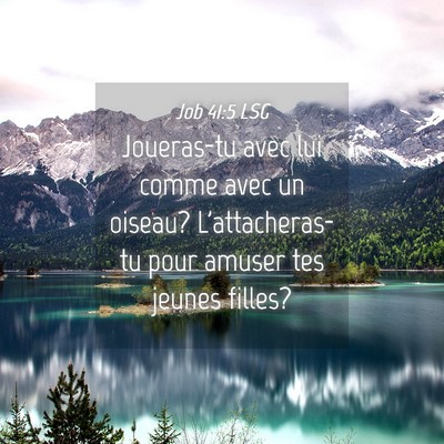 Picture 04 - Job 41:5 LSG - Joueras-tu avec lui comme avec un oiseau? - Bible Verse Picture