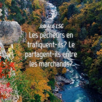 Picture 04 - Job 41:6 LSG - Les pêcheurs en trafiquent-ils? Le partagent-ils - Bible Verse Picture