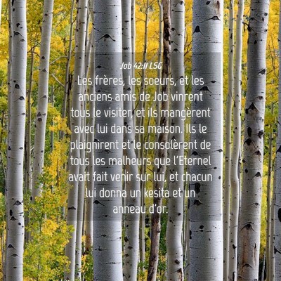Picture 04 - Job 42:11 LSG - Les frères, les soeurs, et les anciens amis de - Bible Verse Picture