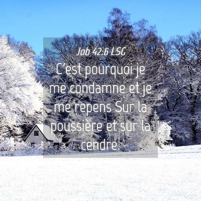 Picture 04 - Job 42:6 LSG - C'est pourquoi je me condamne et je me repens Sur - Bible Verse Picture