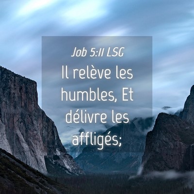 Picture 04 - Job 5:11 LSG - Il relève les humbles, Et délivre les - Bible Verse Picture