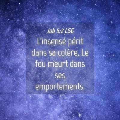 Picture 04 - Job 5:2 LSG - L'insensé périt dans sa colère, Le fou meurt - Bible Verse Picture