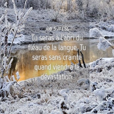 Picture 04 - Job 5:21 LSG - Tu seras à l'abri du fléau de la langue, Tu - Bible Verse Picture