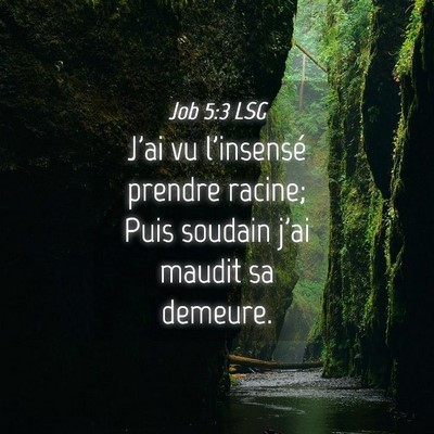 Picture 04 - Job 5:3 LSG - J'ai vu l'insensé prendre racine; Puis soudain - Bible Verse Picture