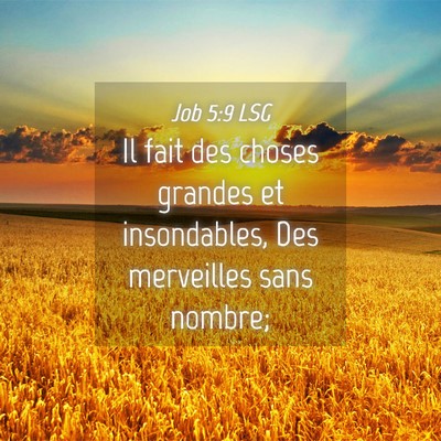 Picture 04 - Job 5:9 LSG - Il fait des choses grandes et insondables, Des - Bible Verse Picture
