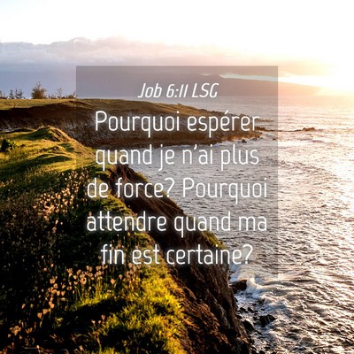 Picture 04 - Job 6:11 LSG - Pourquoi espérer quand je n'ai plus de force? - Bible Verse Picture