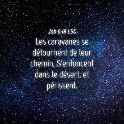 Picture 04 - Job 6:18 LSG - Les caravanes se détournent de leur chemin, - Bible Verse Picture