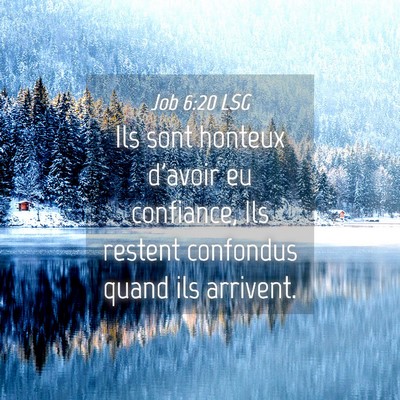 Picture 04 - Job 6:20 LSG - Ils sont honteux d'avoir eu confiance, Ils - Bible Verse Picture