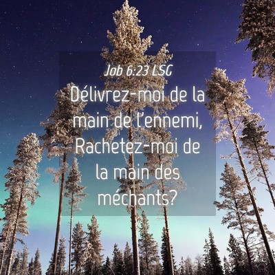Picture 04 - Job 6:23 LSG - Délivrez-moi de la main de l'ennemi, - Bible Verse Picture