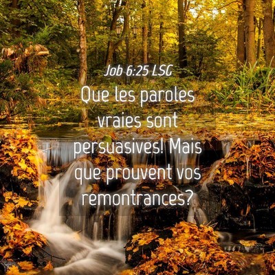 Picture 04 - Job 6:25 LSG - Que les paroles vraies sont persuasives! Mais que - Bible Verse Picture