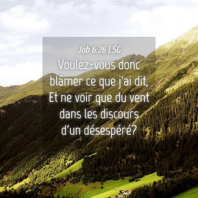 Picture 04 - Job 6:26 LSG - Voulez-vous donc blâmer ce que j'ai dit, Et ne - Bible Verse Picture