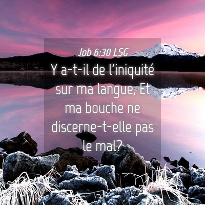 Picture 04 - Job 6:30 LSG - Y a-t-il de l'iniquité sur ma langue, Et ma - Bible Verse Picture