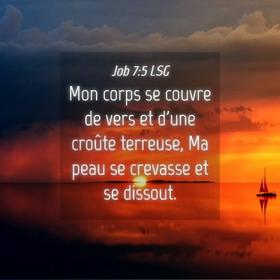 Picture 04 - Job 7:5 LSG - Mon corps se couvre de vers et d'une croûte - Bible Verse Picture