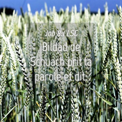Picture 04 - Job 8:1 LSG - Bildad de Schuach prit la parole et - Bible Verse Picture