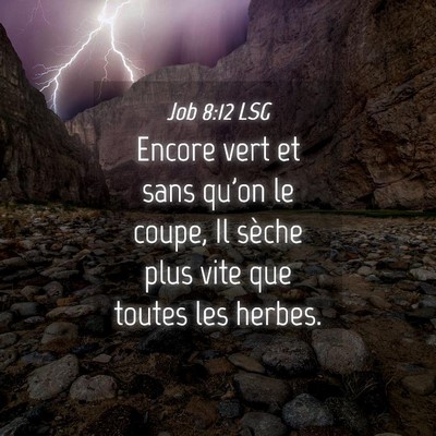 Picture 04 - Job 8:12 LSG - Encore vert et sans qu'on le coupe, Il sèche - Bible Verse Picture