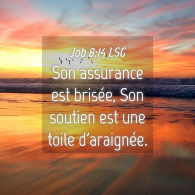 Picture 04 - Job 8:14 LSG - Son assurance est brisée, Son soutien est une - Bible Verse Picture