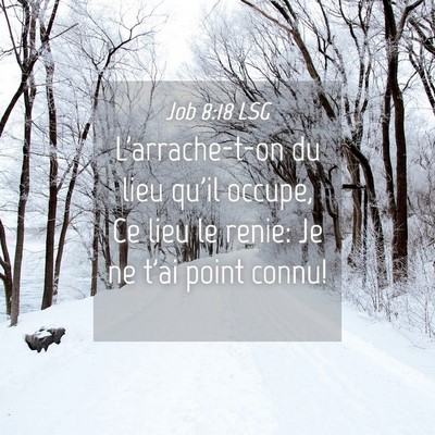 Picture 04 - Job 8:18 LSG - L'arrache-t-on du lieu qu'il occupe, Ce lieu le - Bible Verse Picture