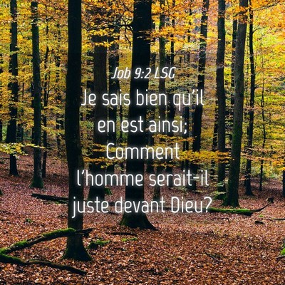 Picture 04 - Job 9:2 LSG - Je sais bien qu'il en est ainsi; Comment l'homme - Bible Verse Picture
