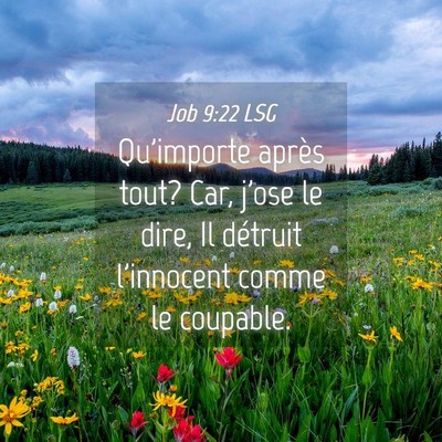 Picture 04 - Job 9:22 LSG - Qu'importe après tout? Car, j'ose le dire, Il - Bible Verse Picture