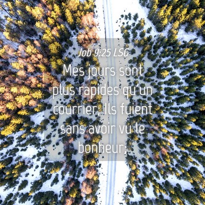 Picture 04 - Job 9:25 LSG - Mes jours sont plus rapides qu'un courrier; Ils - Bible Verse Picture