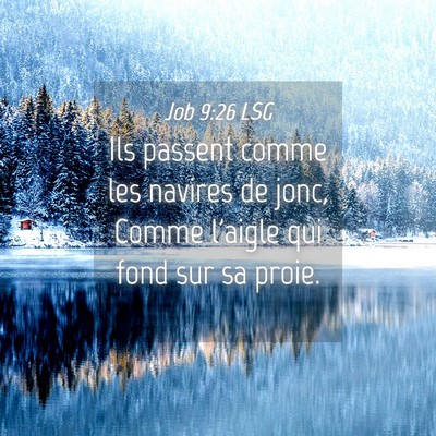 Picture 04 - Job 9:26 LSG - Ils passent comme les navires de jonc, Comme - Bible Verse Picture