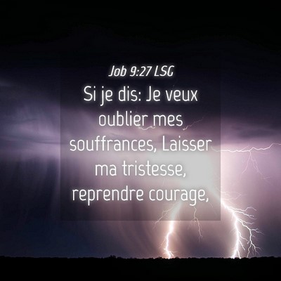 Picture 04 - Job 9:27 LSG - Si je dis: Je veux oublier mes souffrances, - Bible Verse Picture