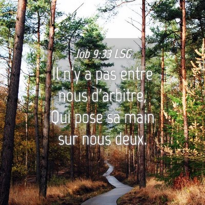 Picture 04 - Job 9:33 LSG - Il n'y a pas entre nous d'arbitre, Qui pose sa - Bible Verse Picture