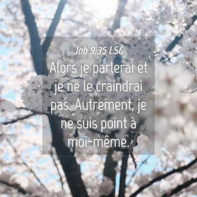 Picture 04 - Job 9:35 LSG - Alors je parlerai et je ne le craindrai pas. - Bible Verse Picture