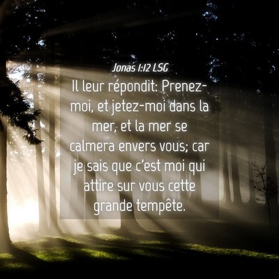 Picture 04 - Jonas 1:12 LSG - Il leur répondit: Prenez-moi, et jetez-moi dans - Bible Verse Picture