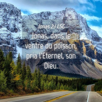Picture 04 - Jonas 2:1 LSG - Jonas, dans le ventre du poisson, pria l'Eternel, - Bible Verse Picture