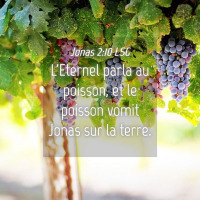 Picture 04 - Jonas 2:10 LSG - L'Eternel parla au poisson, et le poisson vomit - Bible Verse Picture