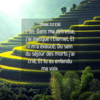 Picture 04 - Jonas 2:2 LSG - Il dit: Dans ma détresse, j'ai invoqué - Bible Verse Picture