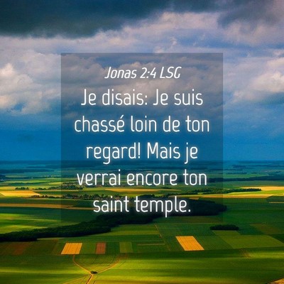 Picture 04 - Jonas 2:4 LSG - Je disais: Je suis chassé loin de ton regard! - Bible Verse Picture