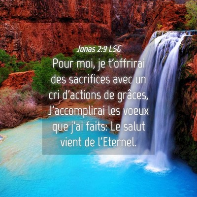 Picture 04 - Jonas 2:9 LSG - Pour moi, je t'offrirai des sacrifices avec un - Bible Verse Picture