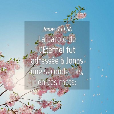 Picture 04 - Jonas 3:1 LSG - La parole de l'Eternel fut adressée à Jonas une - Bible Verse Picture