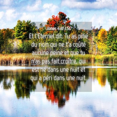 Picture 04 - Jonas 4:10 LSG - Et l'Eternel dit: Tu as pitié du ricin qui ne - Bible Verse Picture