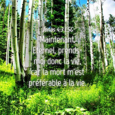 Picture 04 - Jonas 4:3 LSG - Maintenant, Eternel, prends-moi donc la vie, car - Bible Verse Picture