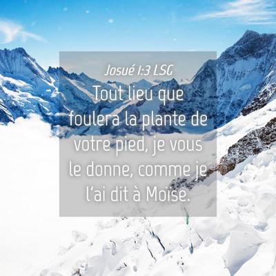 Picture 04 - Josué 1:3 LSG - Tout lieu que foulera la plante de votre pied, je - Bible Verse Picture