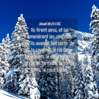 Picture 04 - Josué 10:23 LSG - Ils firent ainsi, et lui amenèrent les cinq rois - Bible Verse Picture