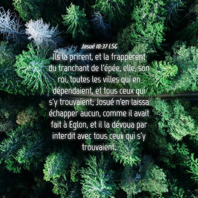 Picture 04 - Josué 10:37 LSG - Ils la prirent, et la frappèrent du tranchant de - Bible Verse Picture