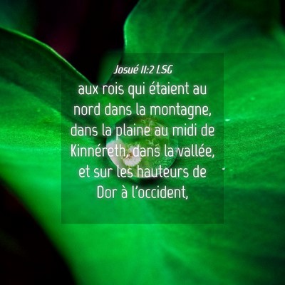 Picture 04 - Josué 11:2 LSG - aux rois qui étaient au nord dans la montagne, - Bible Verse Picture