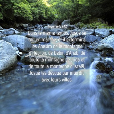 Picture 04 - Josué 11:21 LSG - Dans le même temps, Josué se mit en marche, et - Bible Verse Picture