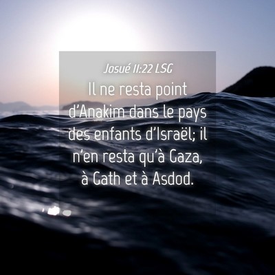 Picture 04 - Josué 11:22 LSG - Il ne resta point d'Anakim dans le pays des - Bible Verse Picture