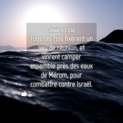 Picture 04 - Josué 11:5 LSG - Tous ces rois fixèrent un lieu de réunion, et - Bible Verse Picture