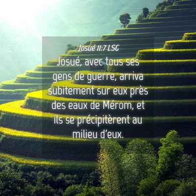 Picture 04 - Josué 11:7 LSG - Josué, avec tous ses gens de guerre, arriva - Bible Verse Picture