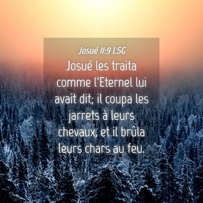 Picture 04 - Josué 11:9 LSG - Josué les traita comme l'Eternel lui avait dit; - Bible Verse Picture